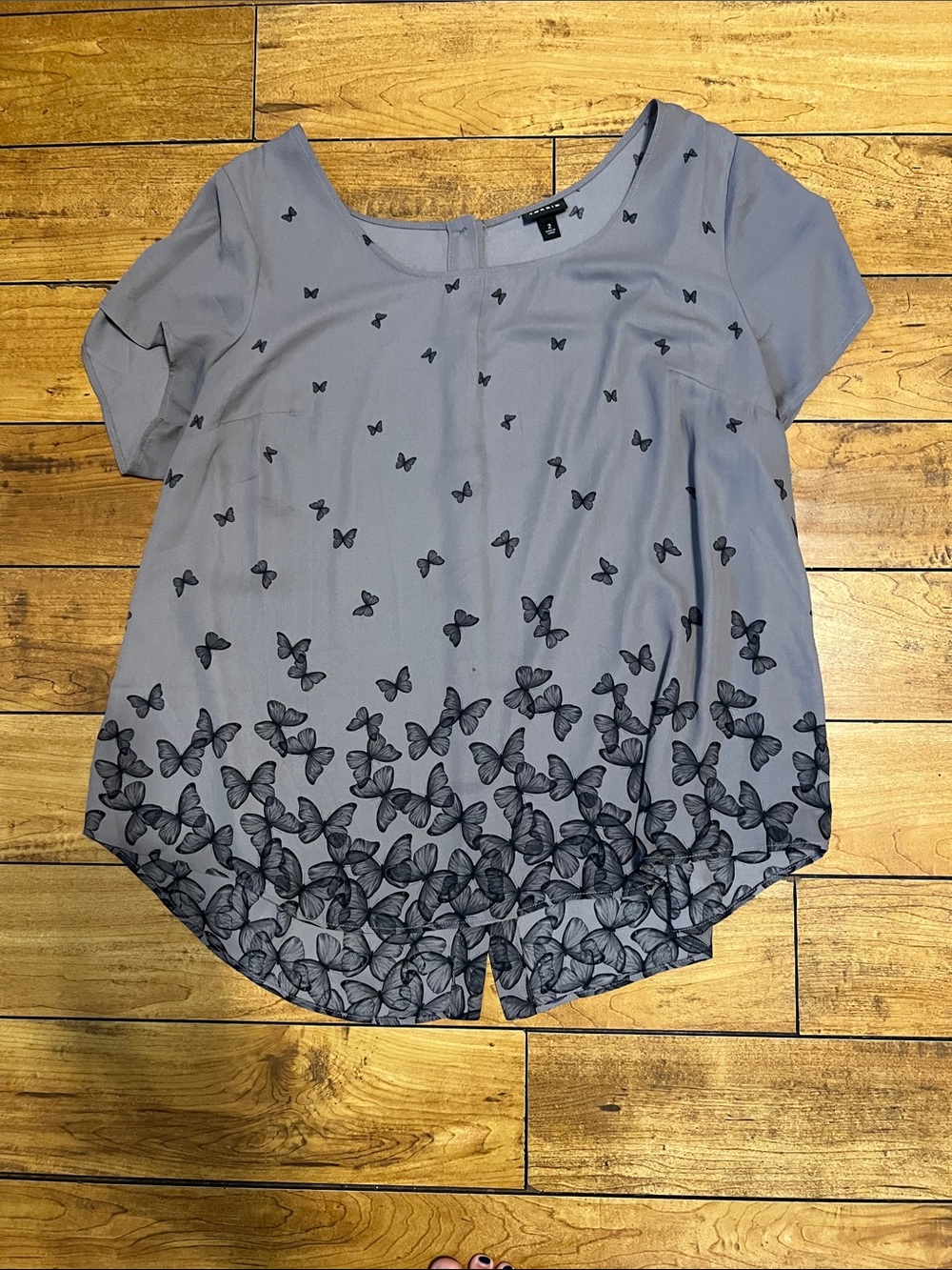 Torrid Light Gray Butterfly Print Short Sleeve Blouse